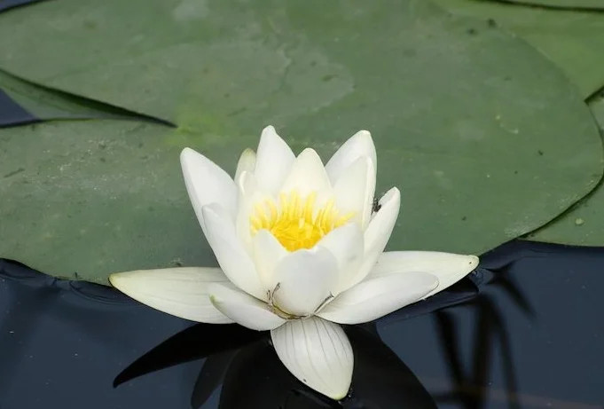 800_656ce56837760_filter_656ce6eebd35f